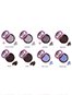 AC8168 Shimmer Powder Eye Shadow