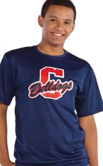 mens wicking tee