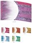 FL2630 Digitally Printed/unprinted Flag 36 x 56"