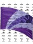 FL6127 Spectrum Flag 36 x 54"