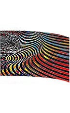 FL7089 printed flag 36 x 56"