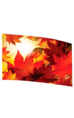 FL7189 printed flag 36 x 56"