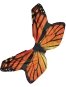 FL9101 Butterfly Wings 2.5 Ft X 10 Ft