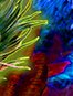 FL9206 Swing Flag 44 x 84"